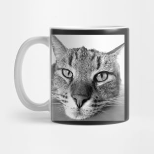 Cat Lover Gifts Black & White Design, Apparel, Home Decor Mug